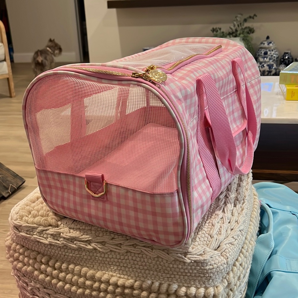 Stoney clover x target pet carrier